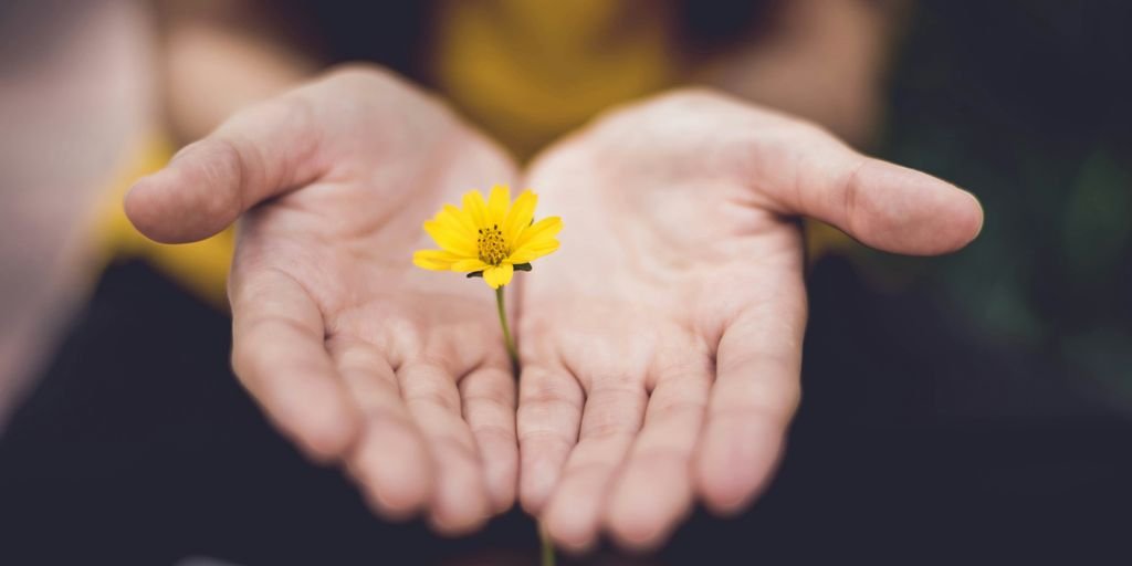 selective focus photography of woman holding yellow petaled flowers